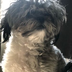 Meet your Posher, Peggyposh